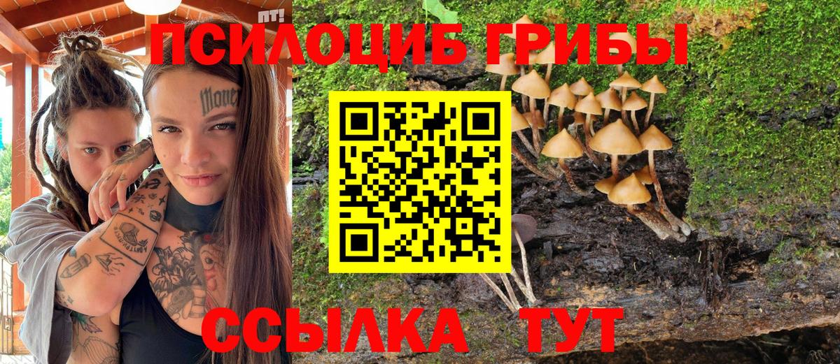 наркошоп  Псилоцибиновые грибы MAGIC MUSHROOMS  Вход с VPN  Люберцы 