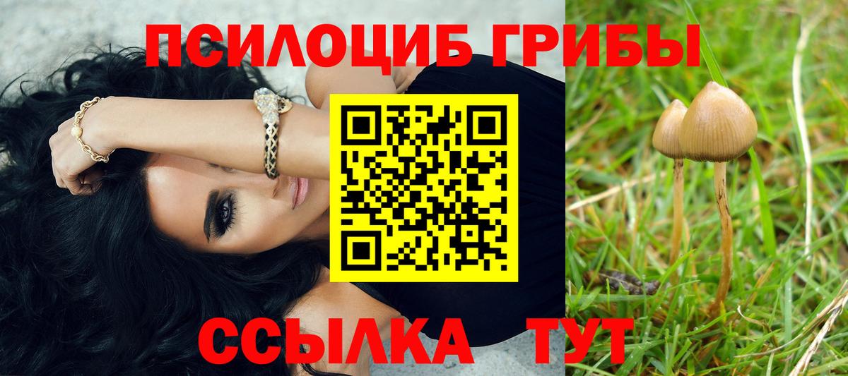 Псилоцибиновые грибы мицелий Люберцы